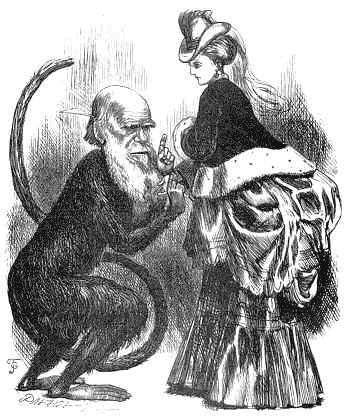 Charles Darwin examinado un polisón.